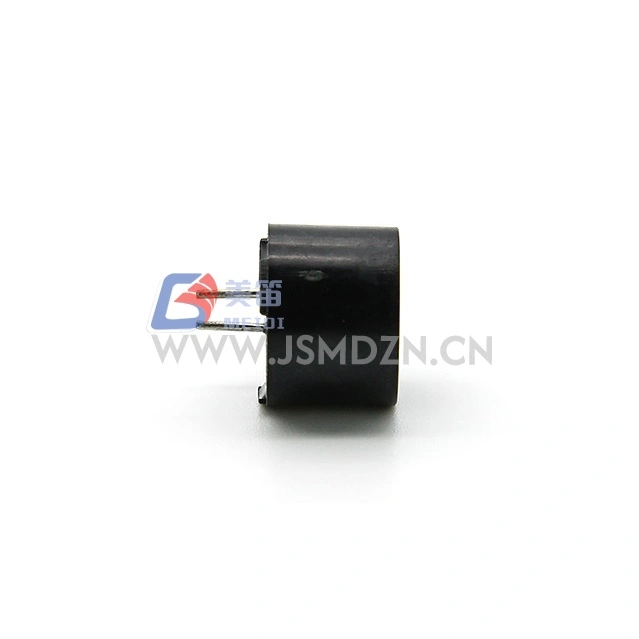 12mm 2400Hz থ্রু-হোল ইলেক্ট্রোম্যাগনেটিক প্যাসিভ বুজার