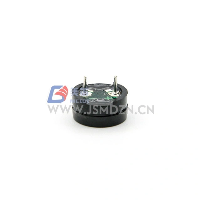 12mm 2730Hz থ্রু-হোল ইলেক্ট্রোম্যাগনেটিক প্যাসিভ বুজার