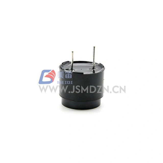 16mm 2048Hz থ্রু-হোল ইলেক্ট্রোম্যাগনেটিক প্যাসিভ বুজার